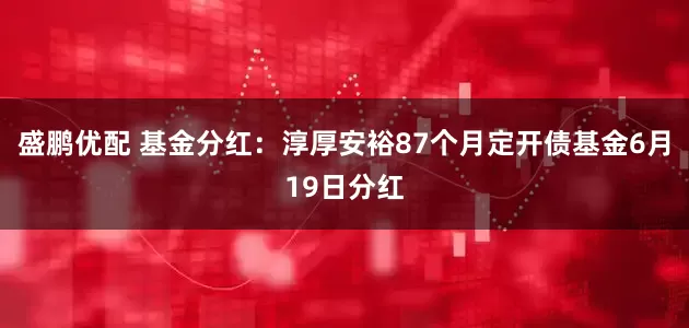 盛鹏优配 基金分红：淳厚安裕87个月定开债基金6月19日分红