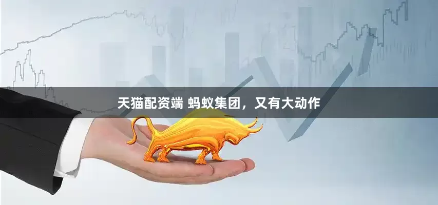 天猫配资端 蚂蚁集团，又有大动作