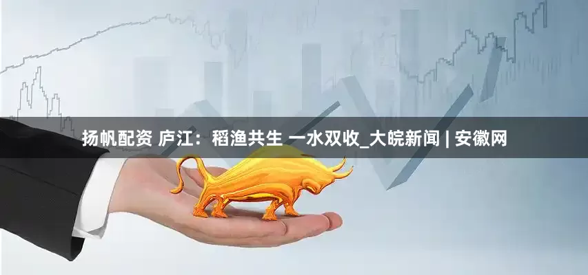 扬帆配资 庐江：稻渔共生 一水双收_大皖新闻 | 安徽网
