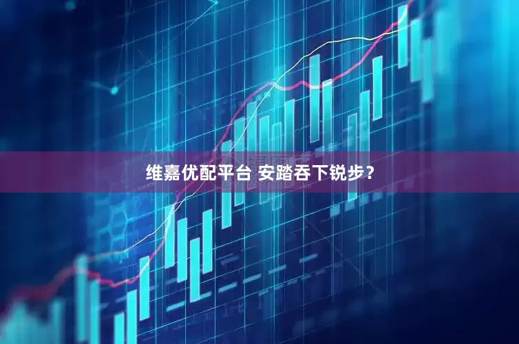 维嘉优配平台 安踏吞下锐步？